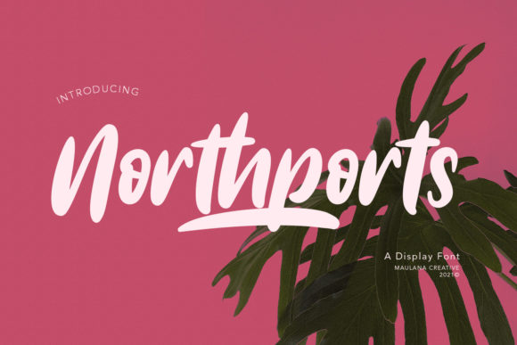 Northports Display Font for Playful, High-Impact Campaigns